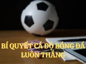 Khám Phá Cá Cược Bóng Đá ThienHaBet: Bí Quyết Thắng Lớn Hấp Dẫn