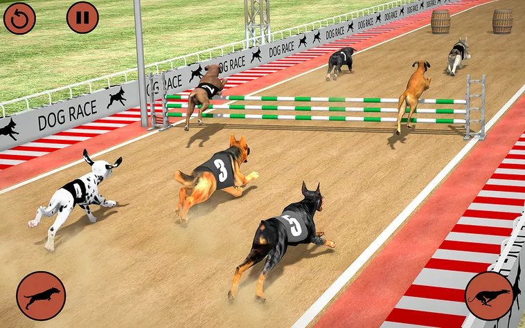 Bí Kíp Thắng Lớn Game Nhanh Đua Chó ThienHaBet Chi Tiết Hiệu Quả